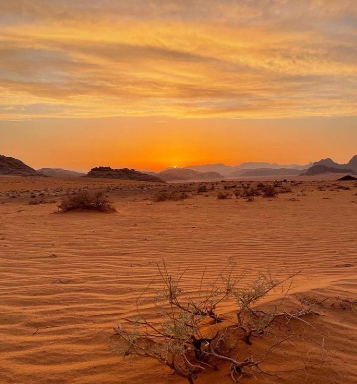 Wadi Rum Nature Eksteriør bilde