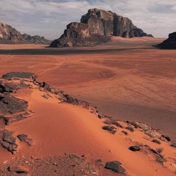Wadi Rum Nature Eksteriør bilde