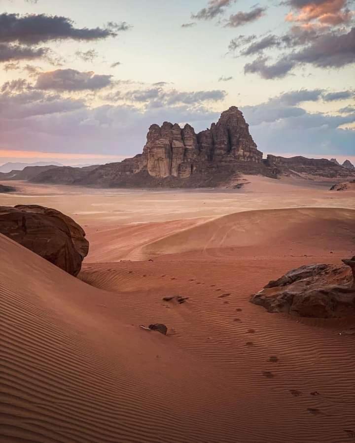 Wadi Rum Nature Eksteriør bilde